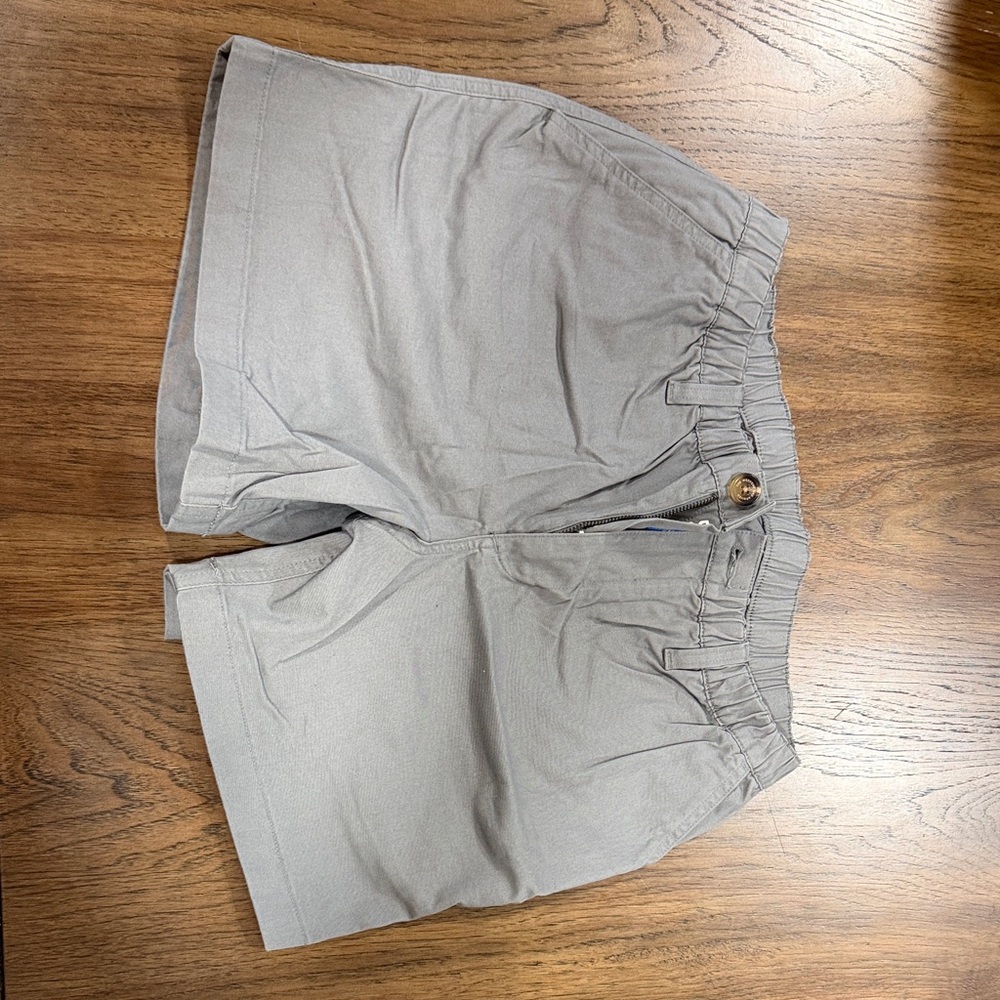 Gray Men's Chubbies 5 inch inseam Shorts